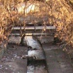 либідь