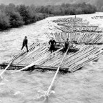 Сплав лісу в Карпатах в 1960-х рр.