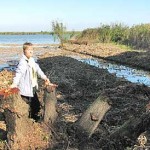 Дрова из реликтовой ольхи – уже жестокая реальность
