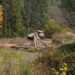 Черные лесорубы уничтожают Карпаты