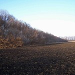 200 років першій лісосмузі