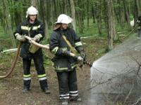 Пожежі в Поліському заповіднику