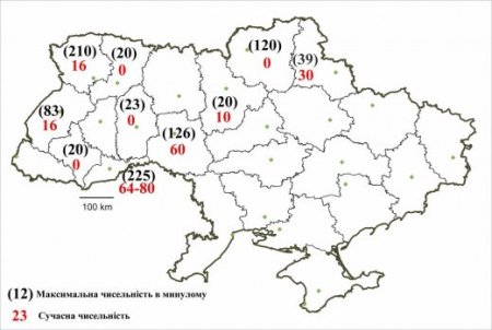 Динаміка чисельності зубра в Україні по регіонам