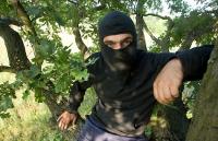 Лесные братья. Чтобы спасти деревья от вырубки, киевлянин Евгений загоняет в стволы 10-сантиметровые гвозди. Процедура называется шипованием