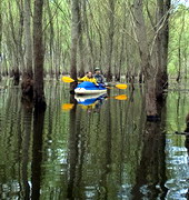 На Львівщині пропонують створити водно-болотне угіддя міжнародного значення в межах ландшафтного парку Надсянський