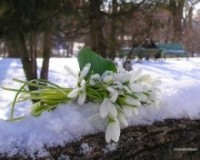 inart_83416_5