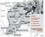 Буковинські ведмеді втікають до Євросоюзу