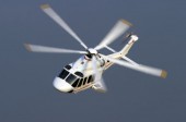 Депутат Ігор Палиця стріляв автоматними чергами по тваринах з вертольоту