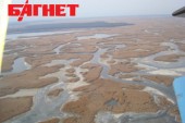 Спуск воды Кременчугского воохранилища может обернуться гибелью миллионов особей