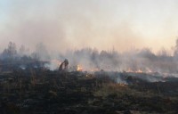На Сумщині врятували лісовий заказник національного значення від пожежі