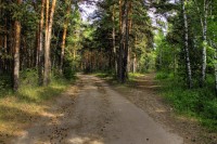 Біличанський ліс приєднали до Голосіївського НПП