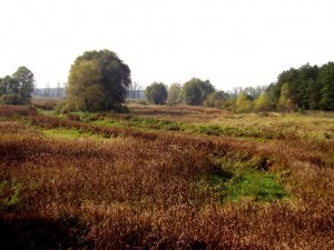 НПП Подесіння в районі с.Воропаїв