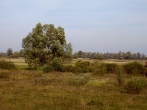 НПП Подесіння в районі с.Воропаїв