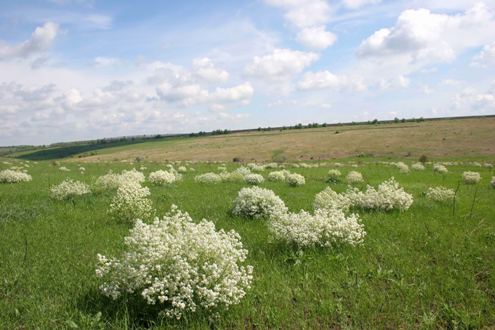 site_6