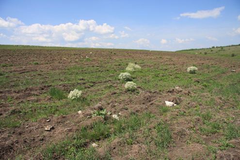 site_6_after_2