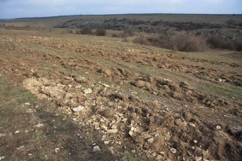 site_8a