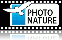Конкурс анімалістичної фотографії Photo Nature