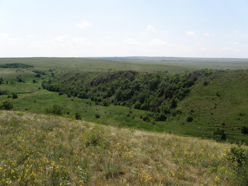 Карта нагольно тарасовка