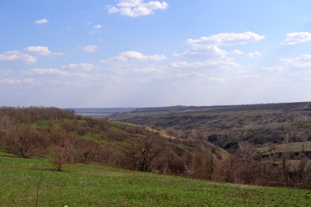 Каменка луганская область карта