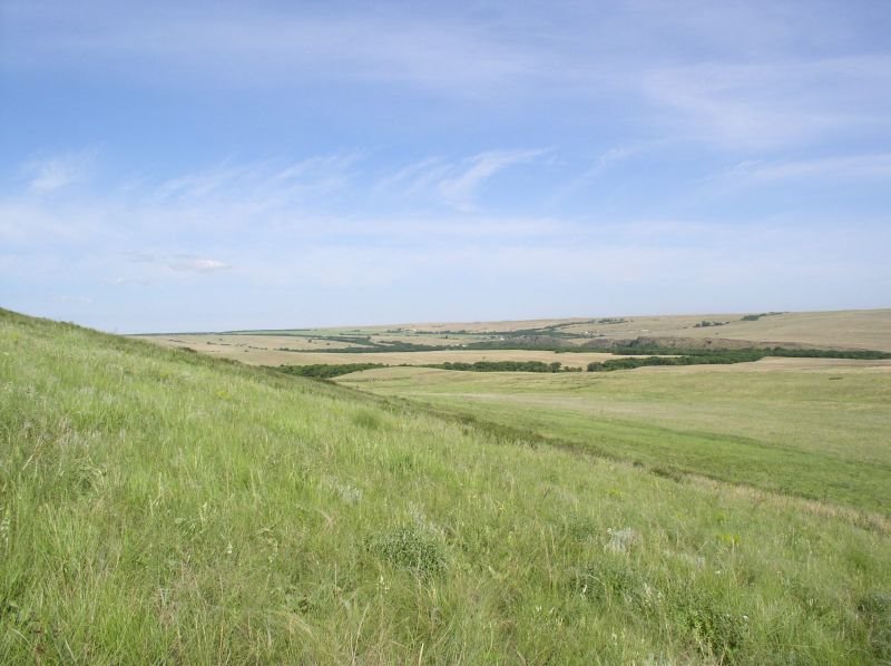 Луганский заповедник. Станично-Луганский заповедник. Провальская степь (Ростовская область). «Луганский государственный заповедник «Провальская степь».. Трехизбенская степь Луганский.