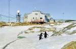 Будівлі української антарктичної станції «Академік Вернадський». Фото з альбому «XX років НАНЦ»