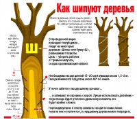 Как шиповать деревья